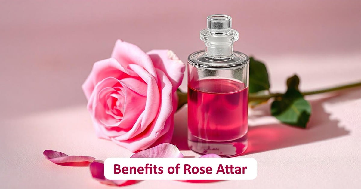 rose attar benefits